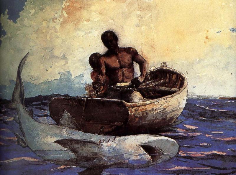 Winslow Homer Shark